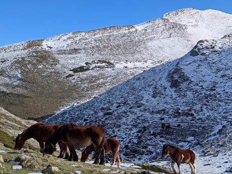 Peña Valdecuélabre desde Llamardal