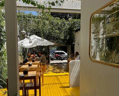 funga cocina a base de hongos