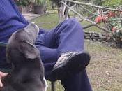 María Corina promete: esperaré tanto como Reza Pahlavi (II)». ¡Insólito pero incierto!