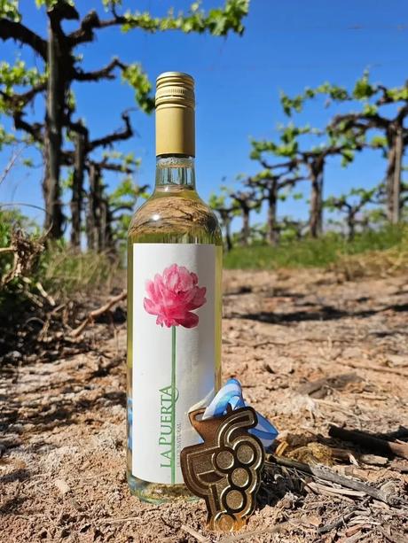 valle de la puerta la rioja torrontes