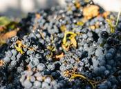 Valle Puerta: identidad Famatina Gran EVINOR 2025