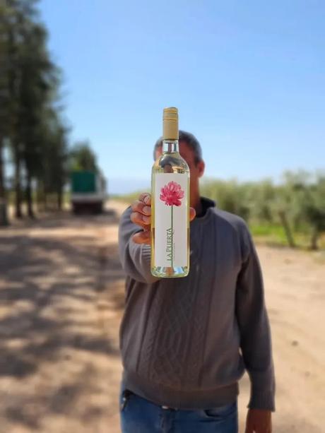 torrontes dulce riojano