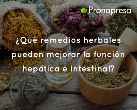 Remedios herbales para mejorar la función hepática e intestinal