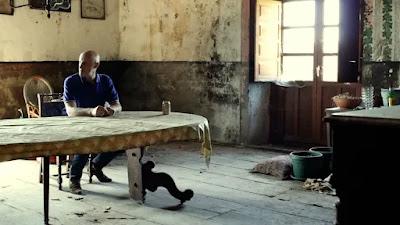 Mi vida entre las hormigas + Un héroe