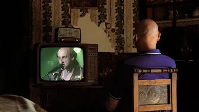 Mi vida entre las hormigas + Un héroe