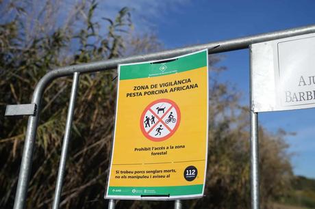 Guardia Civil y Mossos entran en el laboratorio del IRTA de Cerdanyola (Barcelona) por la PPA