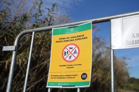 Guardia Civil y Mossos entran en el laboratorio del IRTA de Cerdanyola (Barcelona) por la PPA