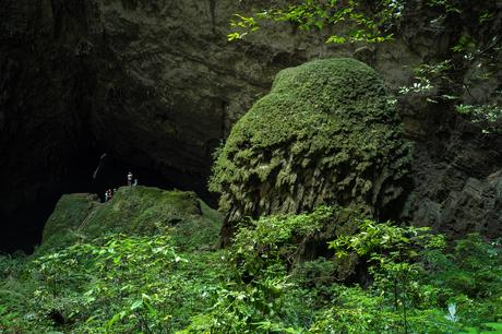 Bosque de la cueva de Son Doong