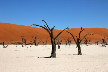 Deadvlei