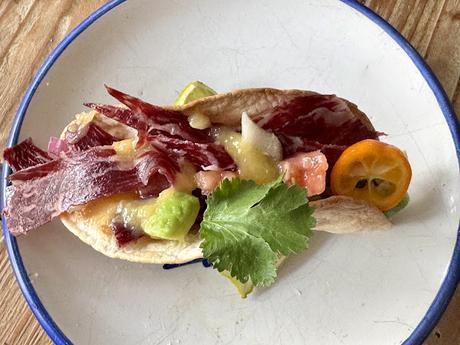 Tacos de cecina con salsa de mango y aguacate