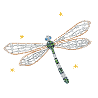 CEREZAS DE INVIERNO.....