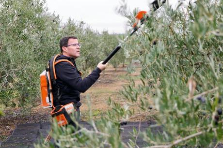 Pisarello aspira a ser «el primer alcalde de Barcelona de origen migrante»