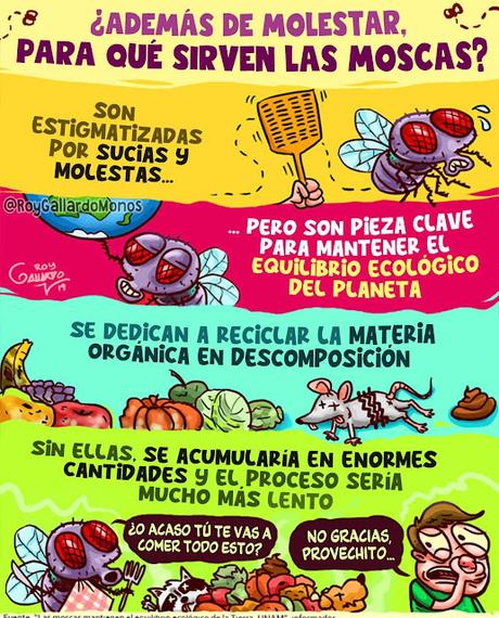 Para que sirven las moscas