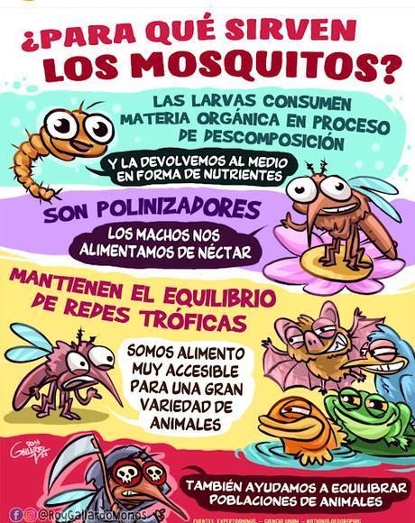 Para que sirven los mosquitos