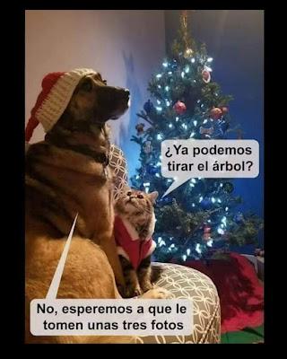 Ayuso presume de gestión y carga contra Sánchez.