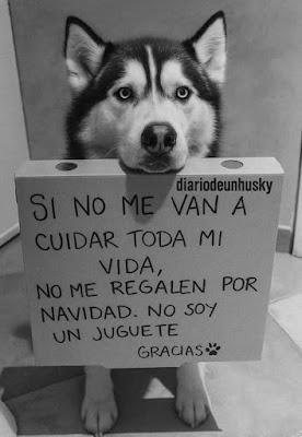 Ayuso presume de gestión y carga contra Sánchez.