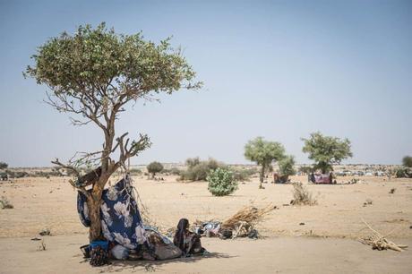 Trump nombra un enviado especial a Groenlandia para promover sus intereses en la isla