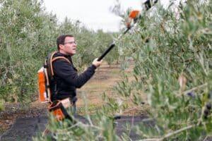 El PP gana en Villanueva de la Serena (Badajoz), la ciudad que Gallardo gobernó más de veinte años