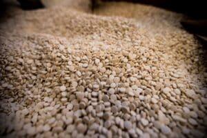 Transportes adjudica por 150 millones de euros los servicios de vigilancia y seguridad de Adif y Adif AV