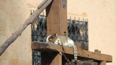 Qué ver en Rabat: 6 lugares que te harán enamorarte de la capital marroquí