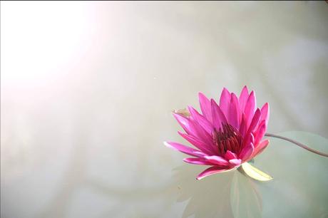 Muriel Atalanta impulsa el bienestar emocional con coaching personalizado y técnicas de intervención estratégica