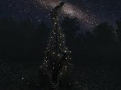 Unas cuantas ilustraciones paleonavideñas... (XI)