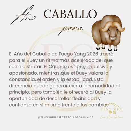 Horóscopo chino para el Buey en 2026