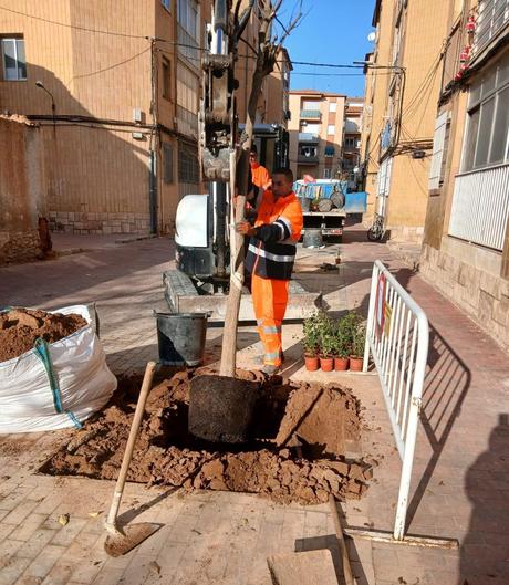 Albacete instala 130 nuevos alcorques en diferentes calles de la ciudad que carecían de arbolado