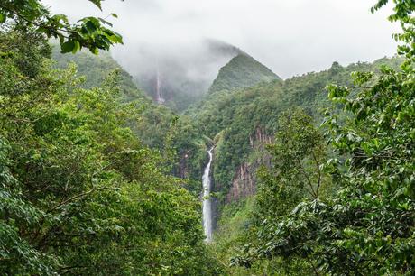 Cataratas de Carbet, bosque tropical de Guadalupe