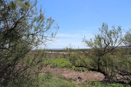 Estancia en Arcachón, Ares