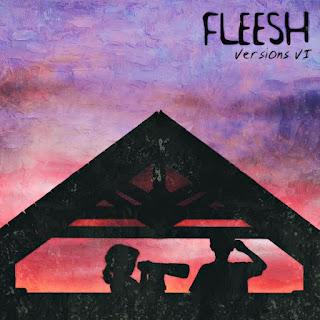 Fleesh - Versions VI (2025)