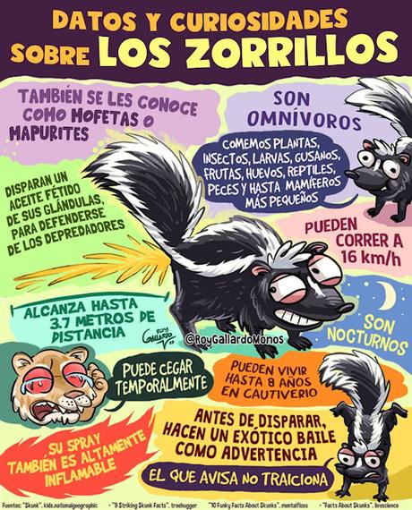 Zorrillos
