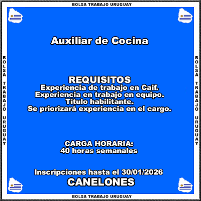 Auxiliar de Cocina