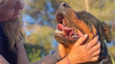 El miedo mató a Yuri.