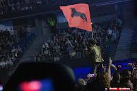 Crónica del concierto de Shinova en el Movistar Arena