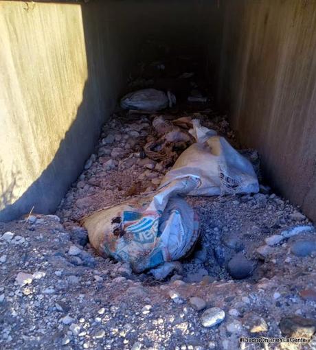 Faenan animales a 2 Km de la entrada a Santo Tomás por Ruta 237