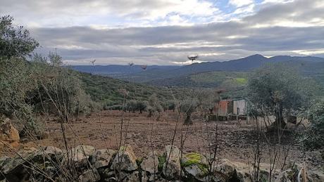 Ruta de los 12 Apóstoles 2025