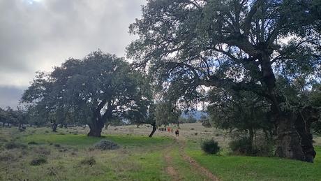 Ruta de los 12 Apóstoles 2025