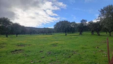 Ruta de los 12 Apóstoles 2025