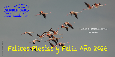 Ruta de los 12 Apóstoles 2025