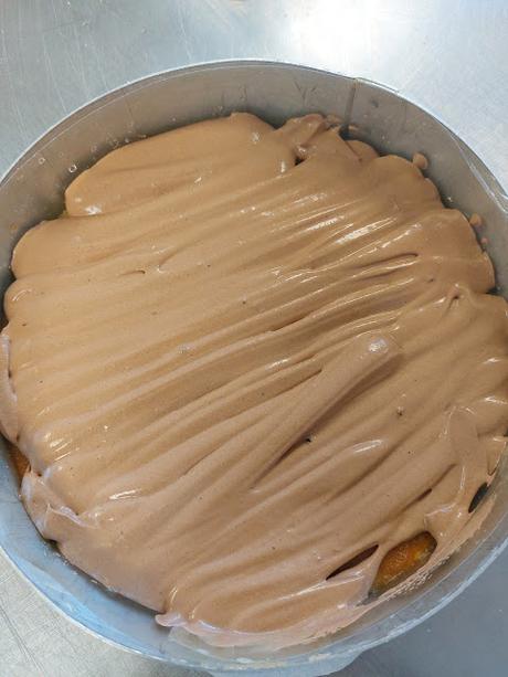 SEMIFRÍO DE VAINILLA Y CHOCOLATE CON CENTRO DE FRUTOS ROJOS SEMIFRÍO DE VAINILLA Y CHOCOLATE CON CENTRO DE FRUTOS ROJOS