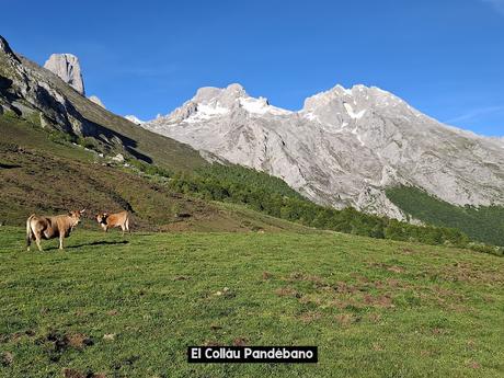 El Texu-La Cabeza las Moñas-La Cabeza los Tortorios
