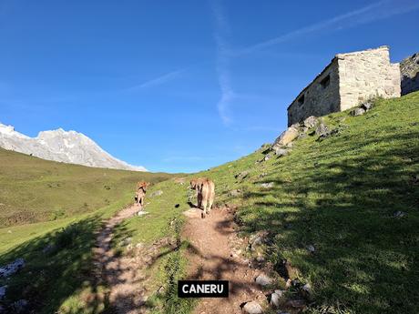 El Texu-La Cabeza las Moñas-La Cabeza los Tortorios