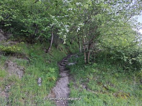 El Texu-La Cabeza las Moñas-La Cabeza los Tortorios