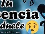 ausencia duele, amor permanece...