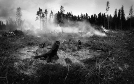 Economía resiliente: clave para la sostenibilidad en la era del cambio climático (1)