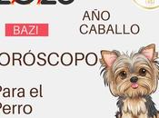 Horóscopo chino para Perro 2026