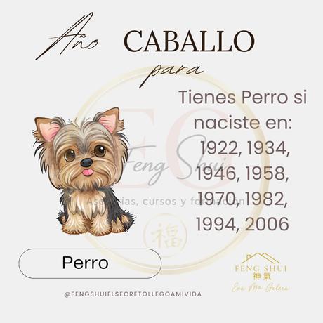 Horóscopo chino para el Perro en 2026
