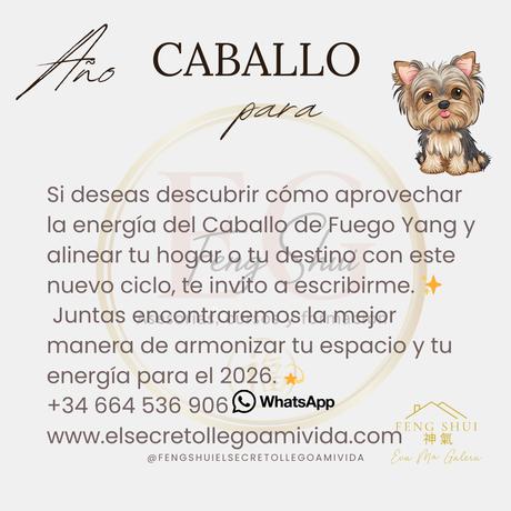 Horóscopo chino para el Perro en 2026