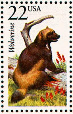 El glotón: feroz depredador de tierras árticas